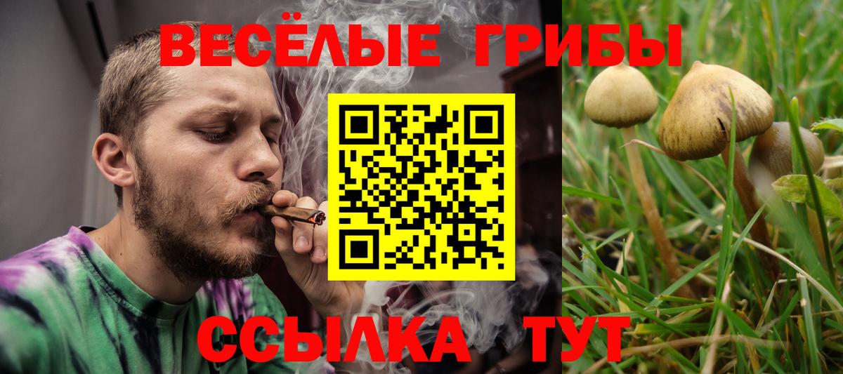 наркошоп  Псилоцибиновые грибы прущие грибы  Галлюциногенные грибы прущие грибы  Вход с VPN  Киселёвск 